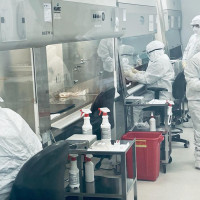 MALARIA VACCINE ; NED NWOKO FOUNDATION HOLDS MEETING IN UNITED STATES MALARIA VACCINE ; NED NWOKO FOUNDATION HOLDS MEETING IN UNITED STATES